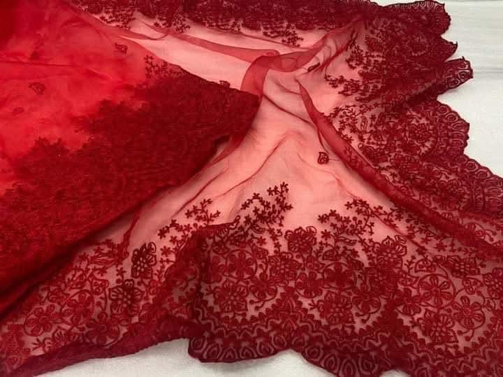 Vermillion Red Color Organza Saree embellished with dori, Hand embroidery and cut-work