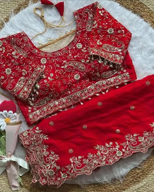 VERMILLION RED Space Silk Saree with Heavy Embroidery Border and STITCHED BLOUSE