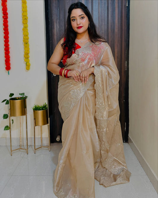 Organza sequins embriodery saree