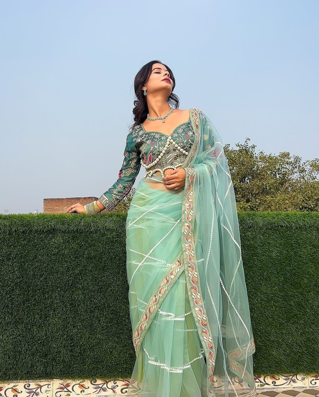 Premium Net saree