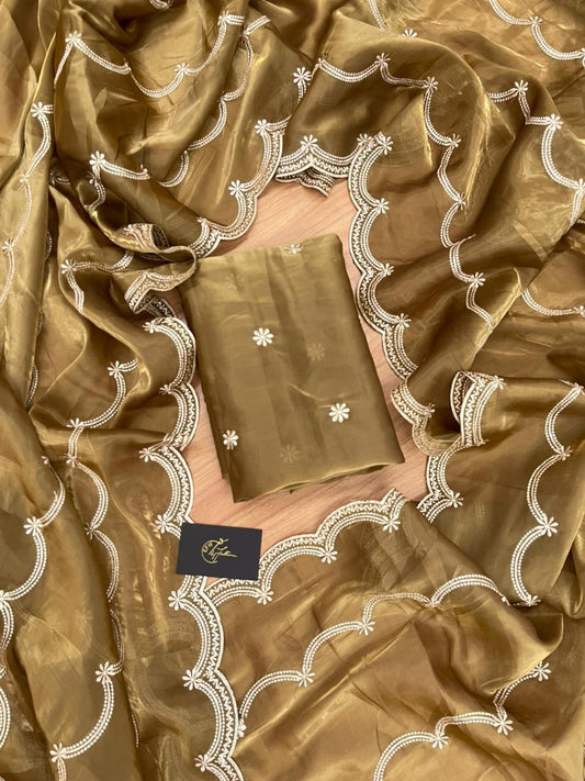 Jimy Chu Organza Saree with Aacro Border Embroidery work