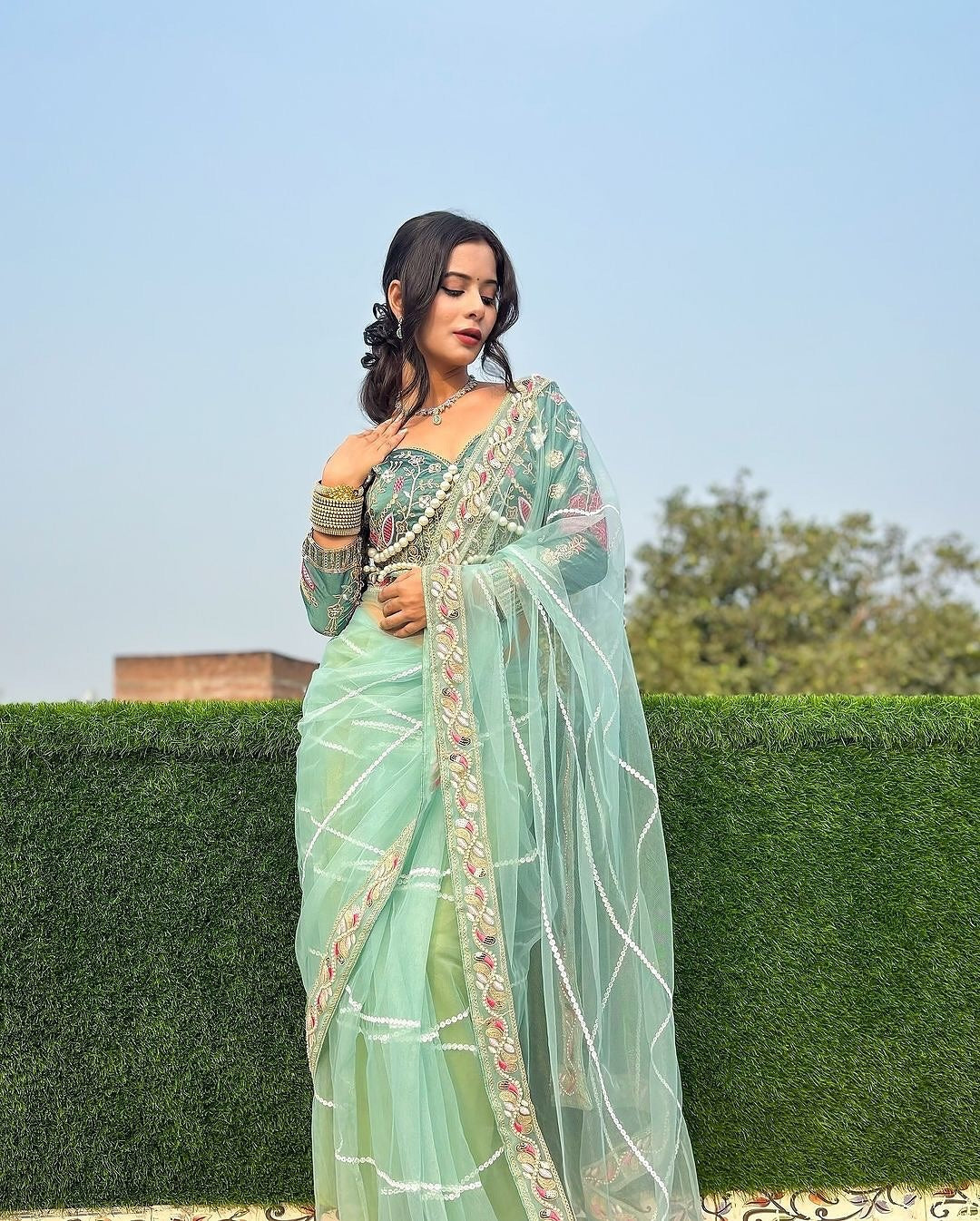 Premium Net saree