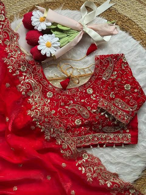 VERMILLION RED Space Silk Saree with Heavy Embroidery Border and STITCHED BLOUSE