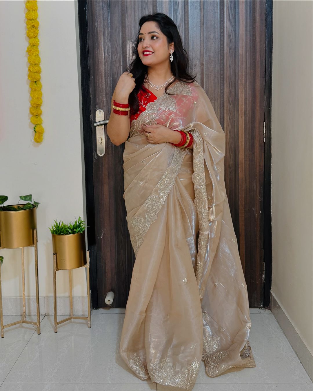 Organza sequins embriodery saree