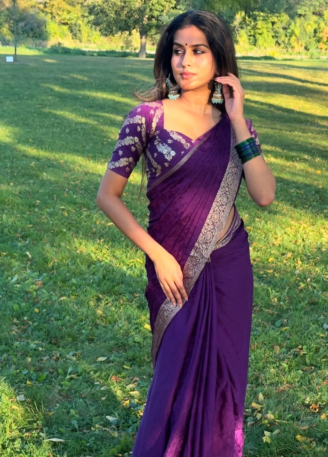 Viscose chinnon saree with banarasi weaving blouse