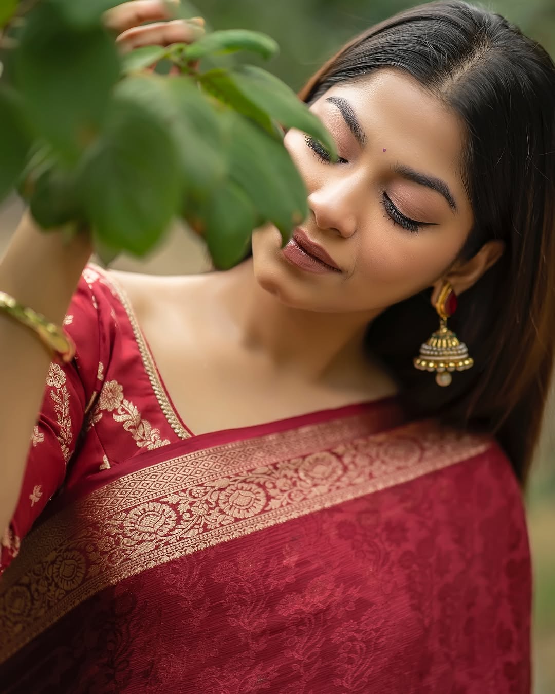 Viscose chinnon saree with banarasi weaving blouse pcs