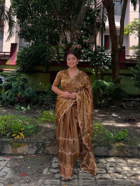 Jimy Chu Organza Saree with Aacro Border Embroidery work
