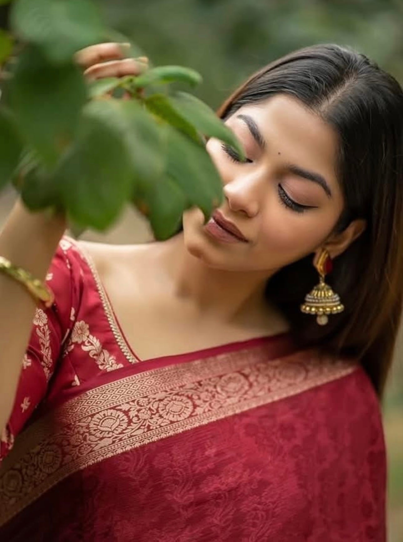 Viscose chinnon saree with banarasi weaving blouse pcs